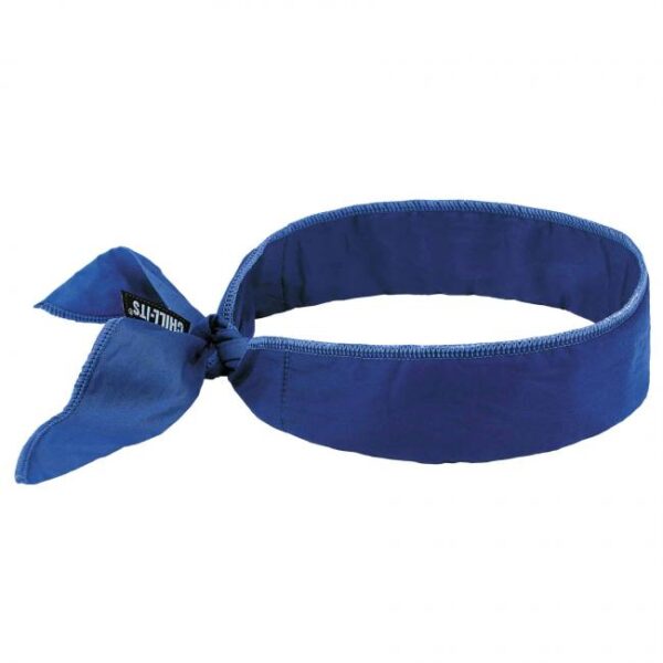 12399-6702-cooling-bandana-polymer-embedded-batting-material-blue-front_992c.jpg