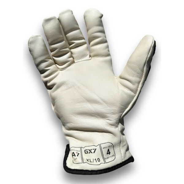 GD-GX7_palm_9ac5.jpg