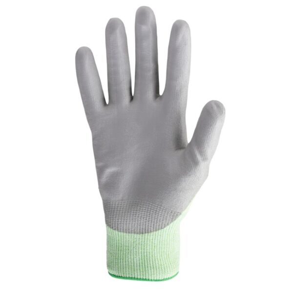 HEX-1050_palm_9c6f.jpg