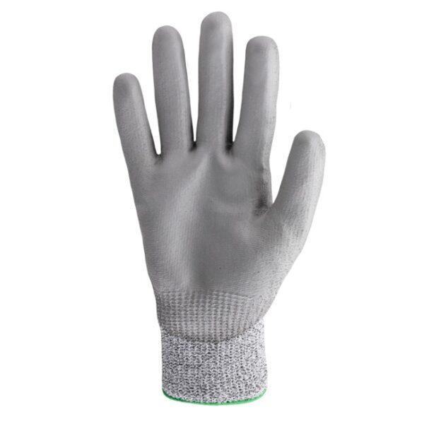 HEX-1074_palm_40f1.jpg