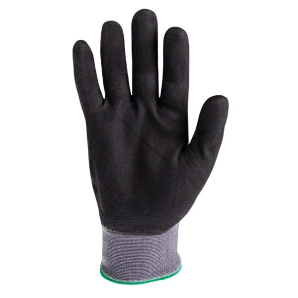 HEX-2076-palm_3206.jpg