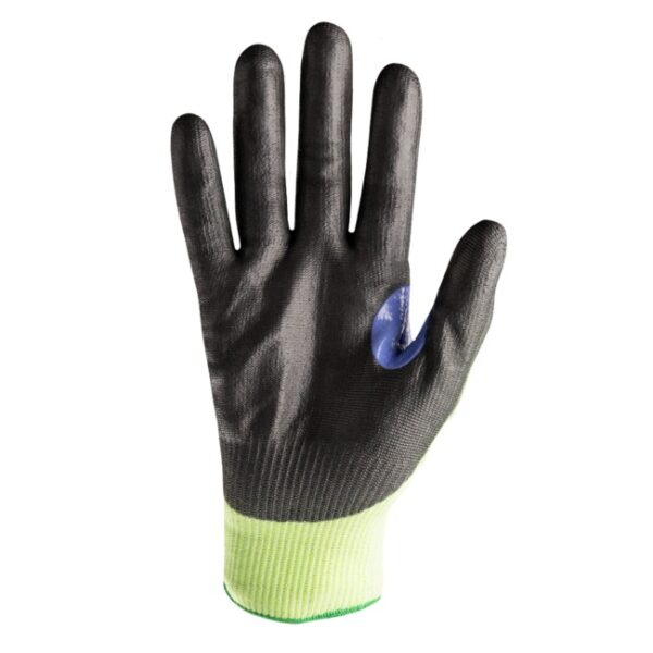 HEX-3060_palm_2656.jpg
