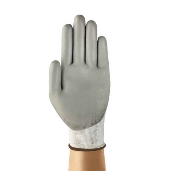 Light Duty Multi-purpose Industrial Glove