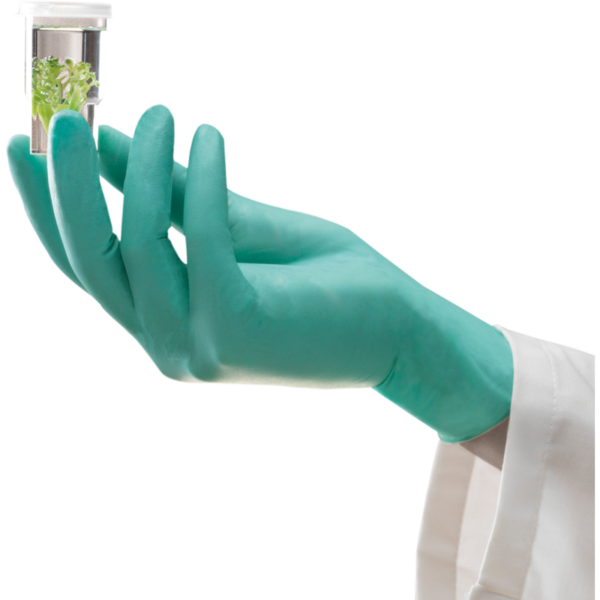 Disposable Neoprene Glove