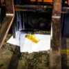 oil-only-absorbent-forklift-leak_1800x1800_d884.jpg