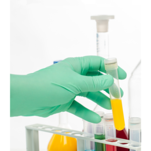 Sterile Polychloroprene Cleanroom Glove
